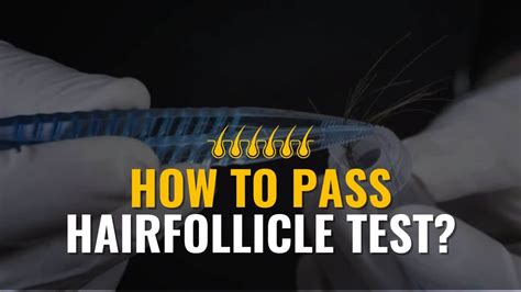 how hard is it to pass a hair follicle test|how long does a hair drug test last.